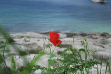 Brač - Manjana 2010